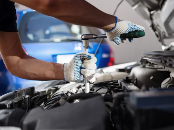 Untitled design (93)